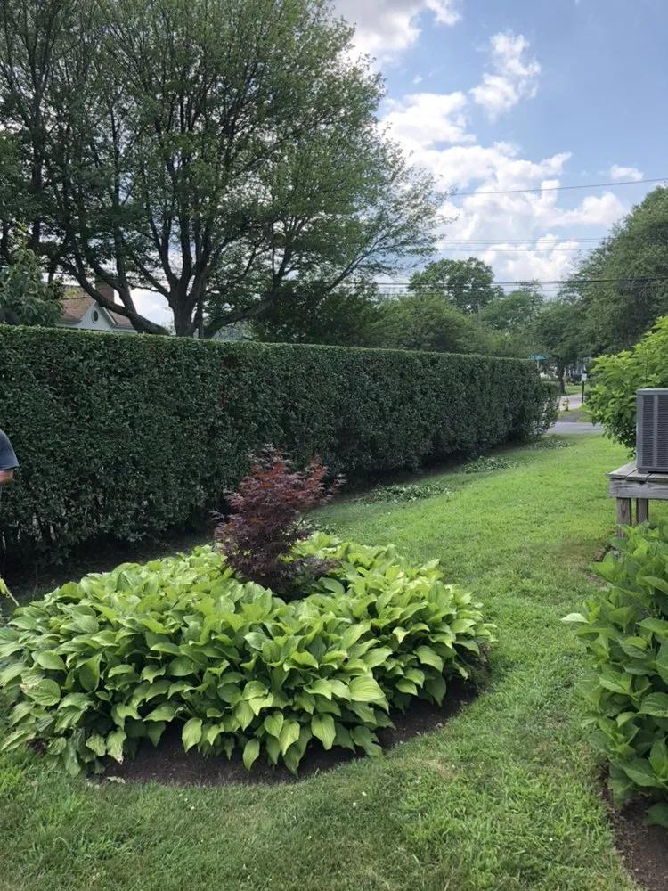 Top-rated landscape installation experts serving Bridgeport, CT - Mejia Landscaping