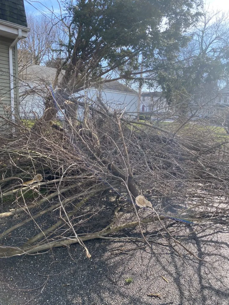 Custom landscaping services in Bridgeport, CT - Mejia Landscaping