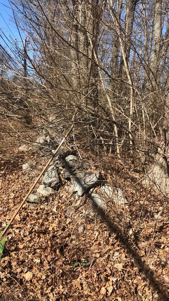 Top-rated lawn care service near you across Bridgeport, CT - Mejia Landscaping