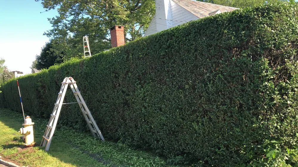 Custom landscaping services experts serving Bridgeport, CT - Mejia Landscaping