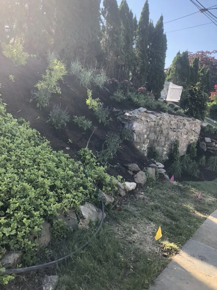 Local yard cleanup service experts serving Bridgeport, CT - Mejia Landscaping