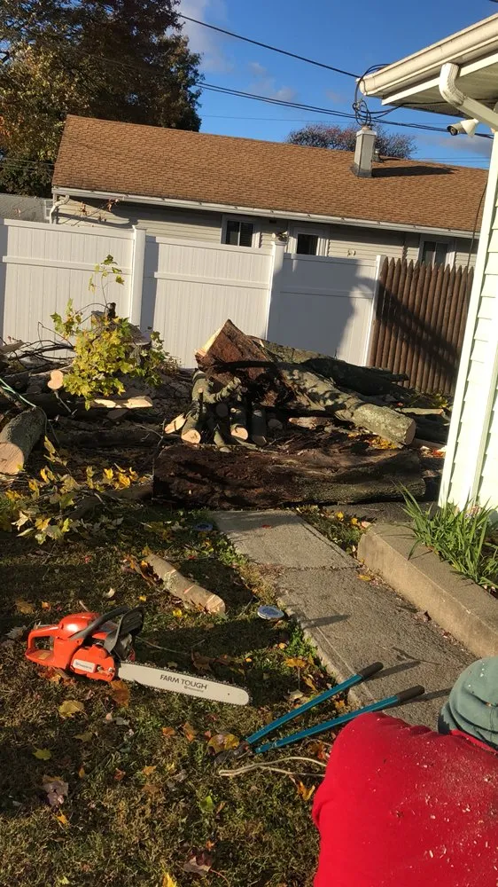 Expert landscape installation in Bridgeport, CT by Mejia Landscaping