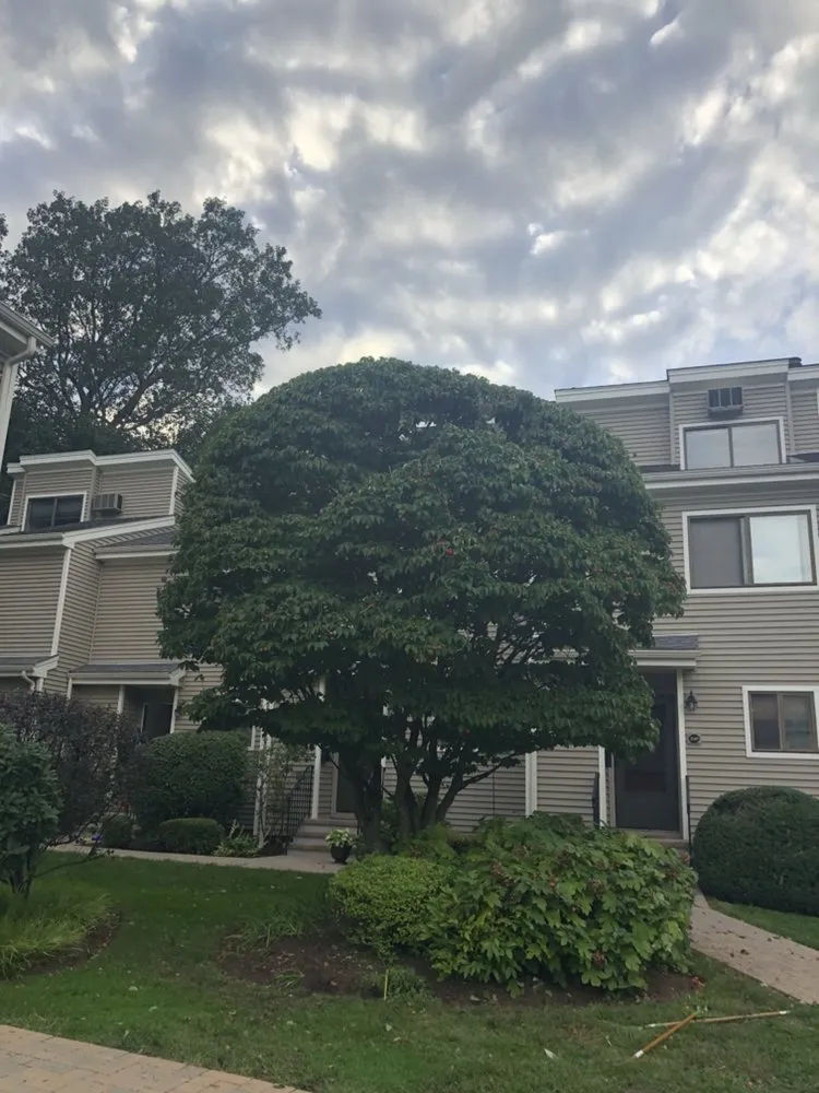 Custom lawn mowing service in Bridgeport, CT by Mejia Landscaping