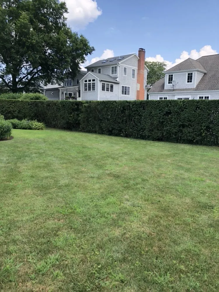 Top-rated residential landscaping in Bridgeport, CT - Mejia Landscaping