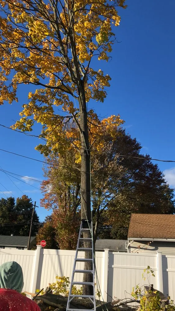 Professional residential landscaping in Bridgeport, CT by Mejia Landscaping