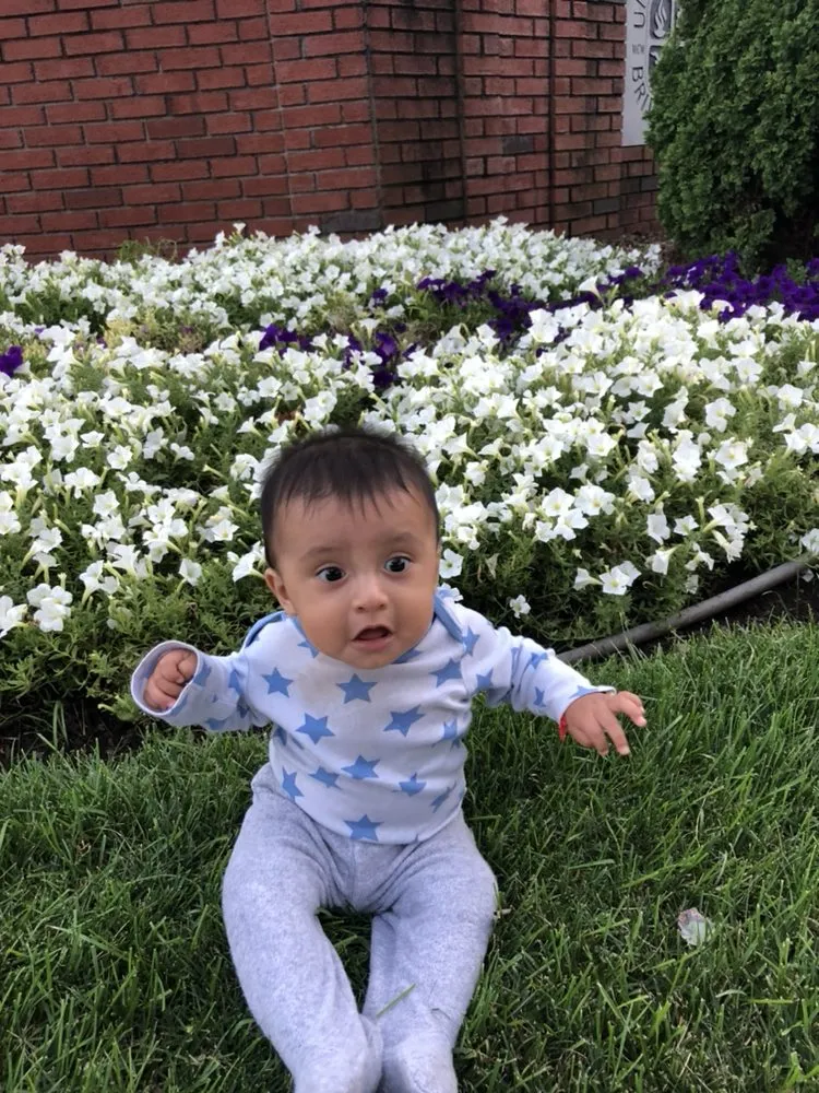 Professional landscape installation for beautiful yards across Bridgeport, CT - Mejia Landscaping