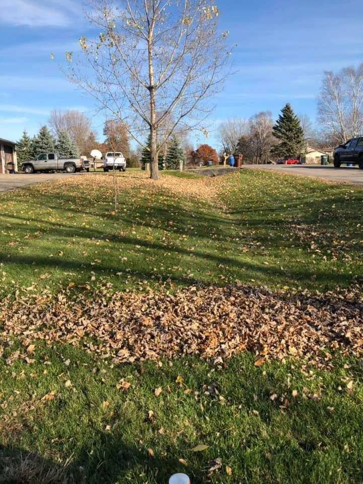 Local lawn care service near you in Saint Paul, MN by Mejia landscaping