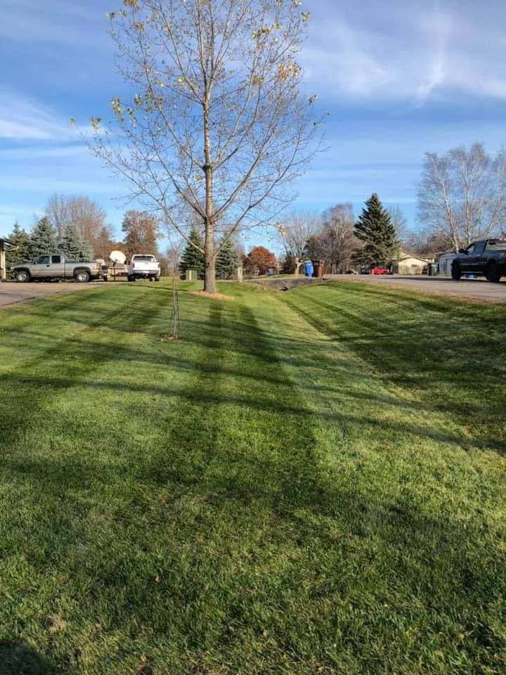 Custom residential landscaping for year-round maintenance across Saint Paul, MN - Mejia landscaping