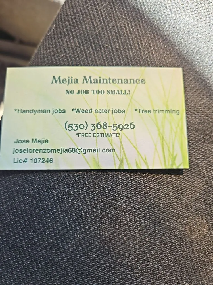 Custom landscape design with custom design across Auburn, CA - Mejia Maintenance