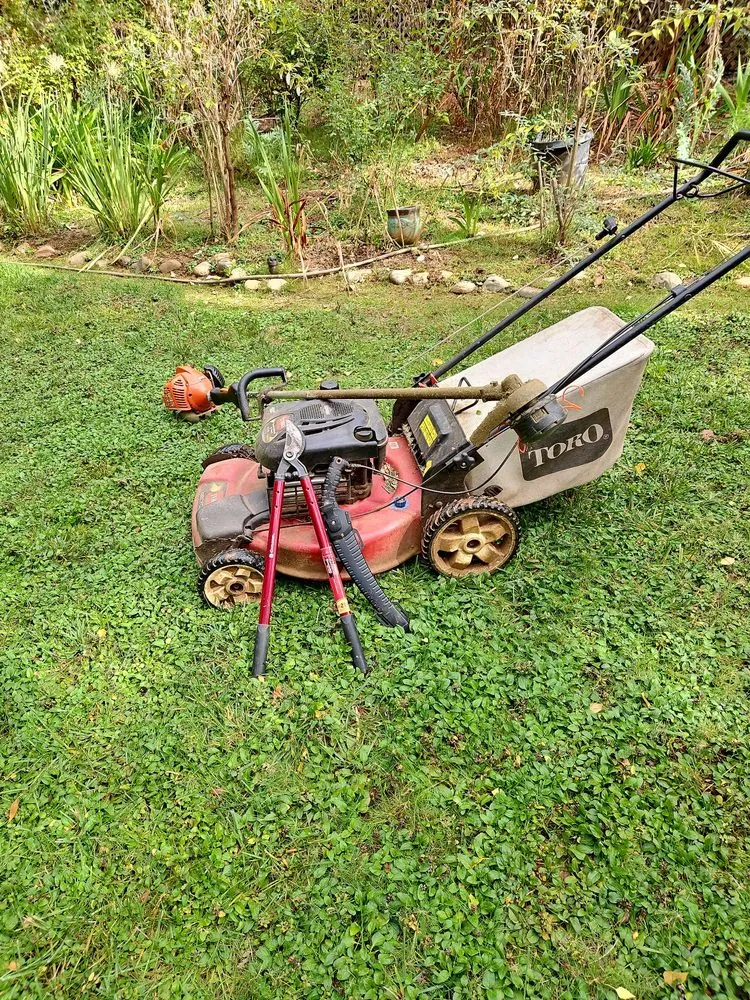 Affordable outdoor landscaping experts serving Auburn, CA - Mejia Maintenance