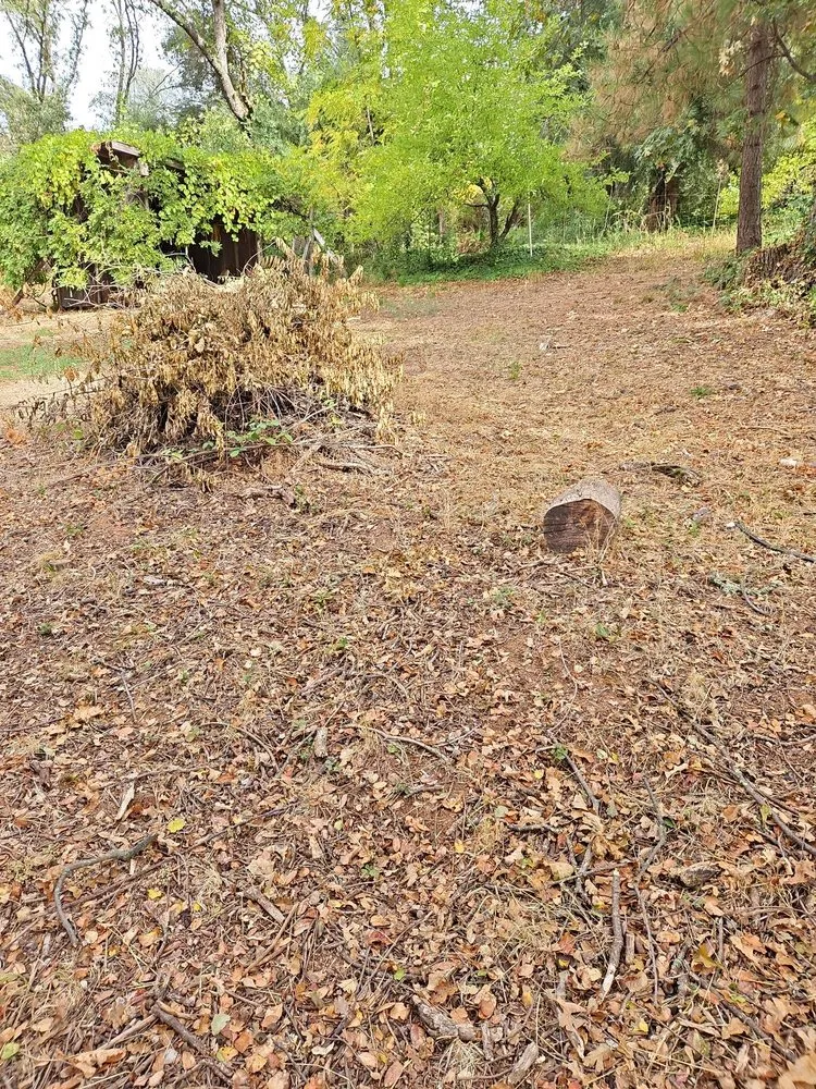 Reliable lawn mowing service with custom design in Auburn, CA by Mejia Maintenance