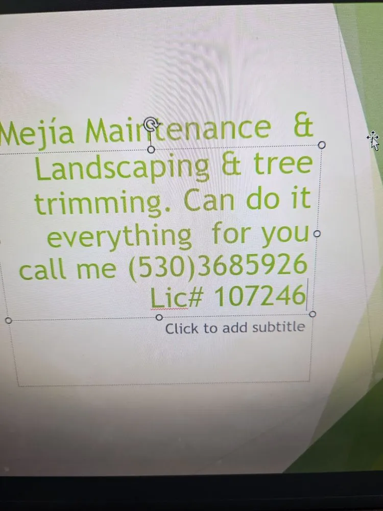 Expert lawn care service in Auburn, CA by Mejia Maintenance