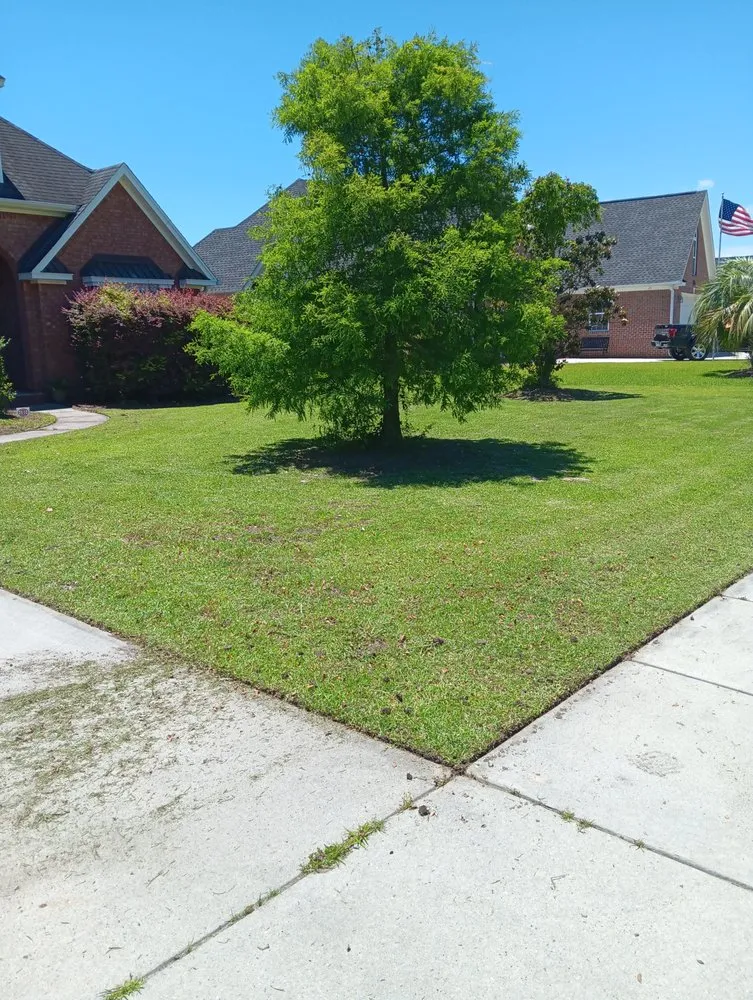 Reliable yard cleanup service in Hartsville, SC by Mejia Property Services