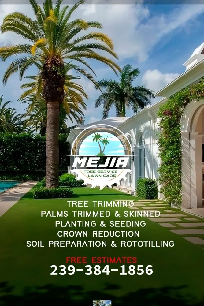 Expert yard maintenance with custom design across Fort Myers, FL - Mejia Tree Service & Lawn Care