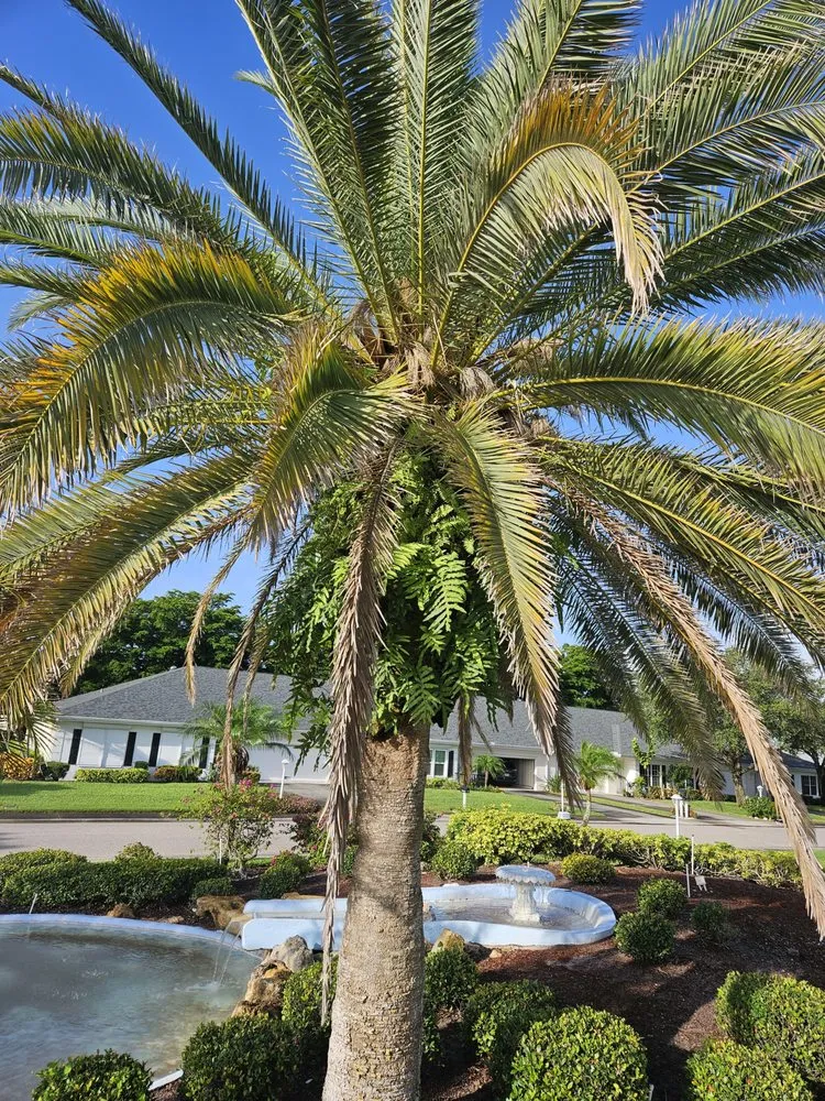 Custom outdoor landscaping experts serving Fort Myers, FL - Mejia Tree Service & Lawn Care