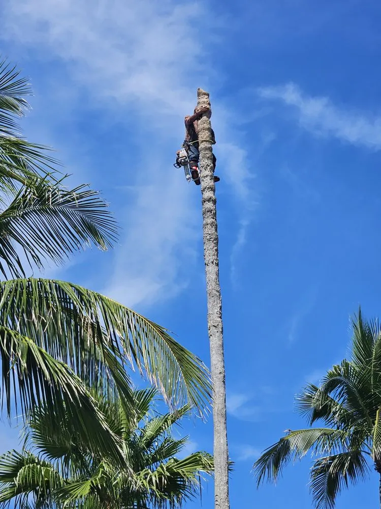 Custom landscaping services for outdoor upgrades in Fort Myers, FL by Mejia Tree Service & Lawn Care