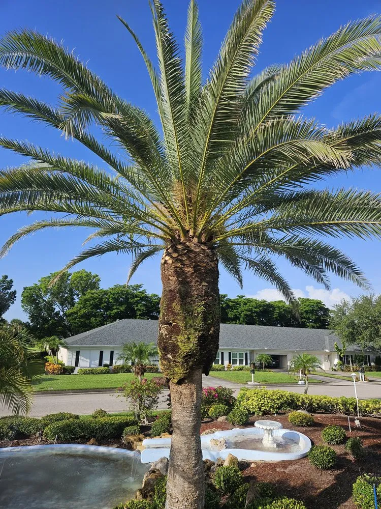 Affordable residential landscaping in Fort Myers, FL - Mejia Tree Service & Lawn Care