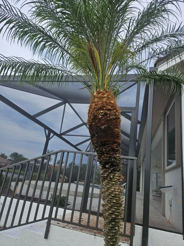 Professional landscape installation in Fort Myers, FL - Mejia Tree Service & Lawn Care