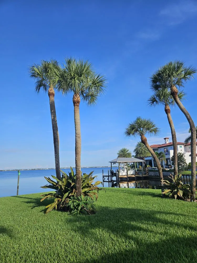 Affordable outdoor landscaping for beautiful yards across Fort Myers, FL - Mejia Tree Service & Lawn Care