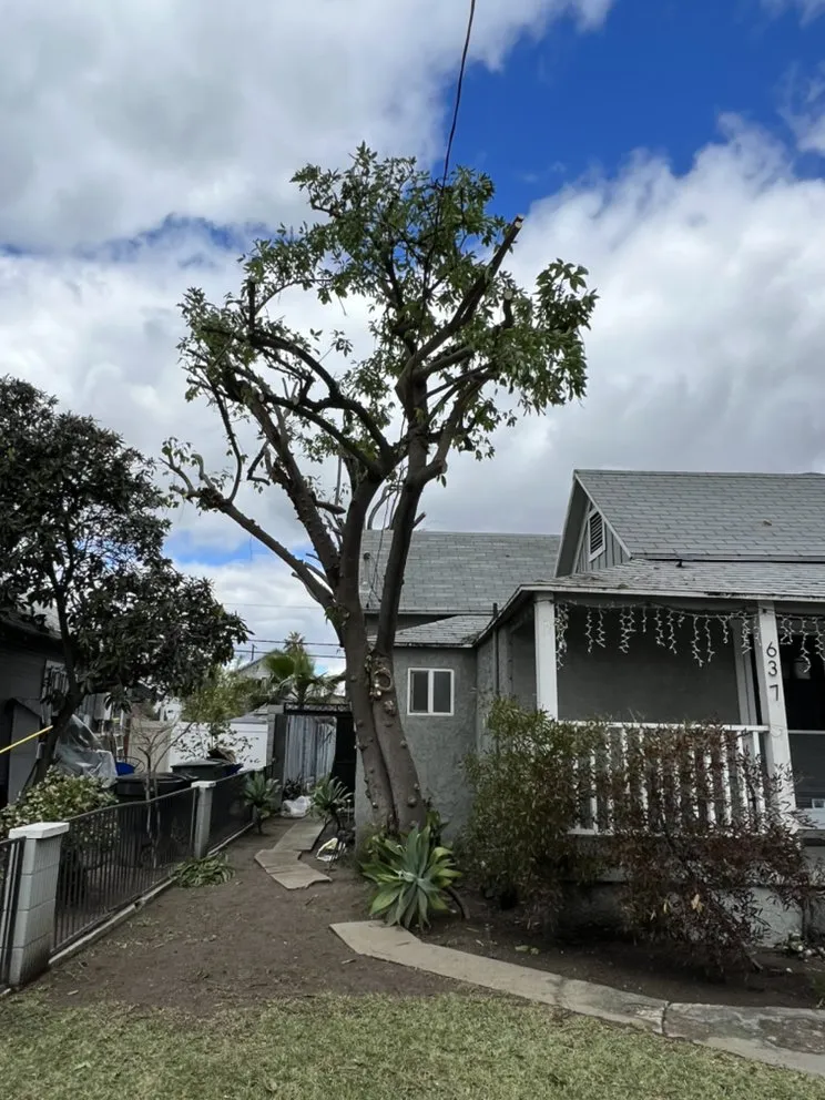 Top-rated lawn mowing service for residential properties across Ontario, CA - Mejia Tree Service