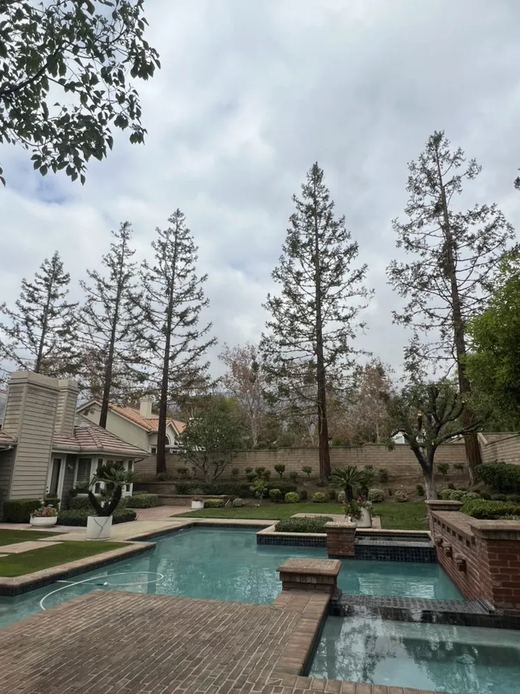 Custom lawn mowing service experts serving Ontario, CA - Mejia Tree Service