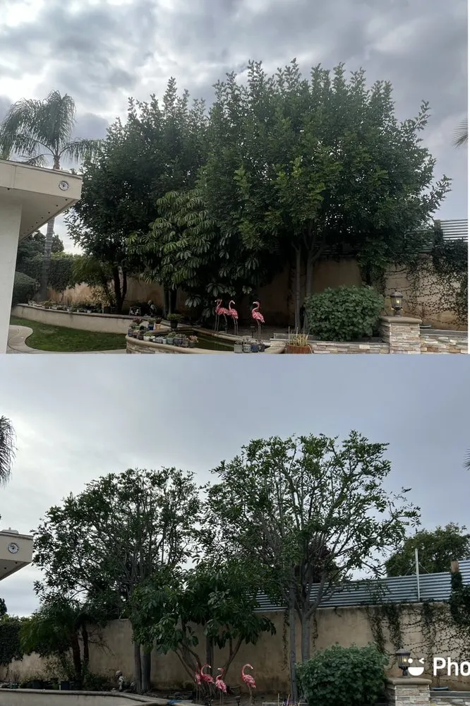 Affordable landscaping services in Ontario, CA by Mejia Tree Service