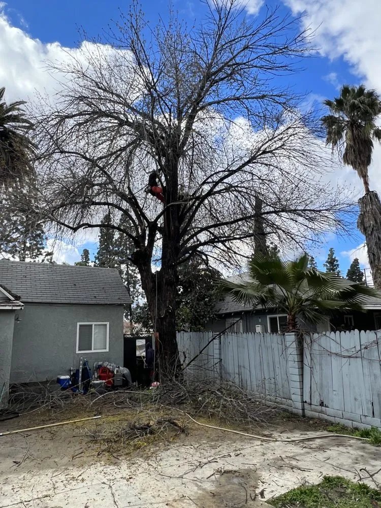 Reliable garden landscaping in Ontario, CA - Mejia Tree Service