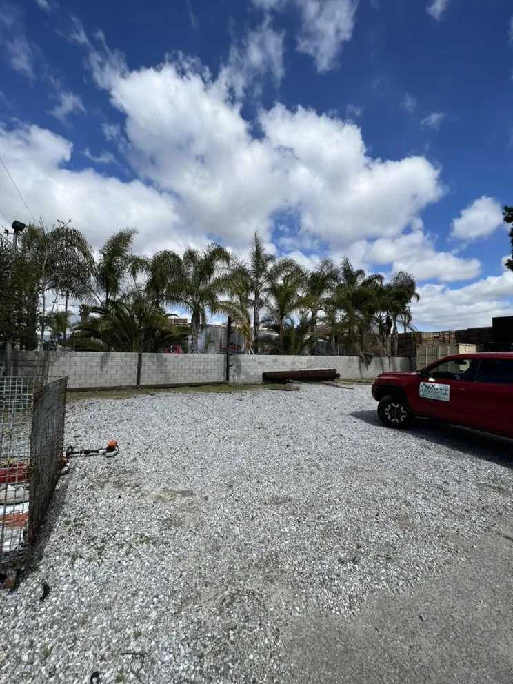Trusted yard cleanup service for year-round maintenance in Ontario, CA by Mejia Tree Service
