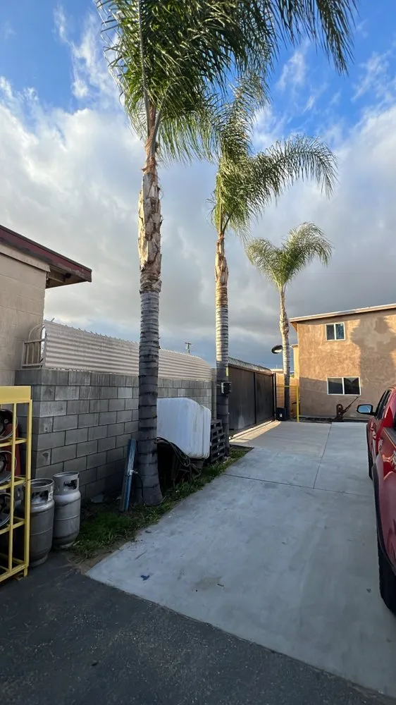 Local lawn mowing service in Ontario, CA by Mejia Tree Service