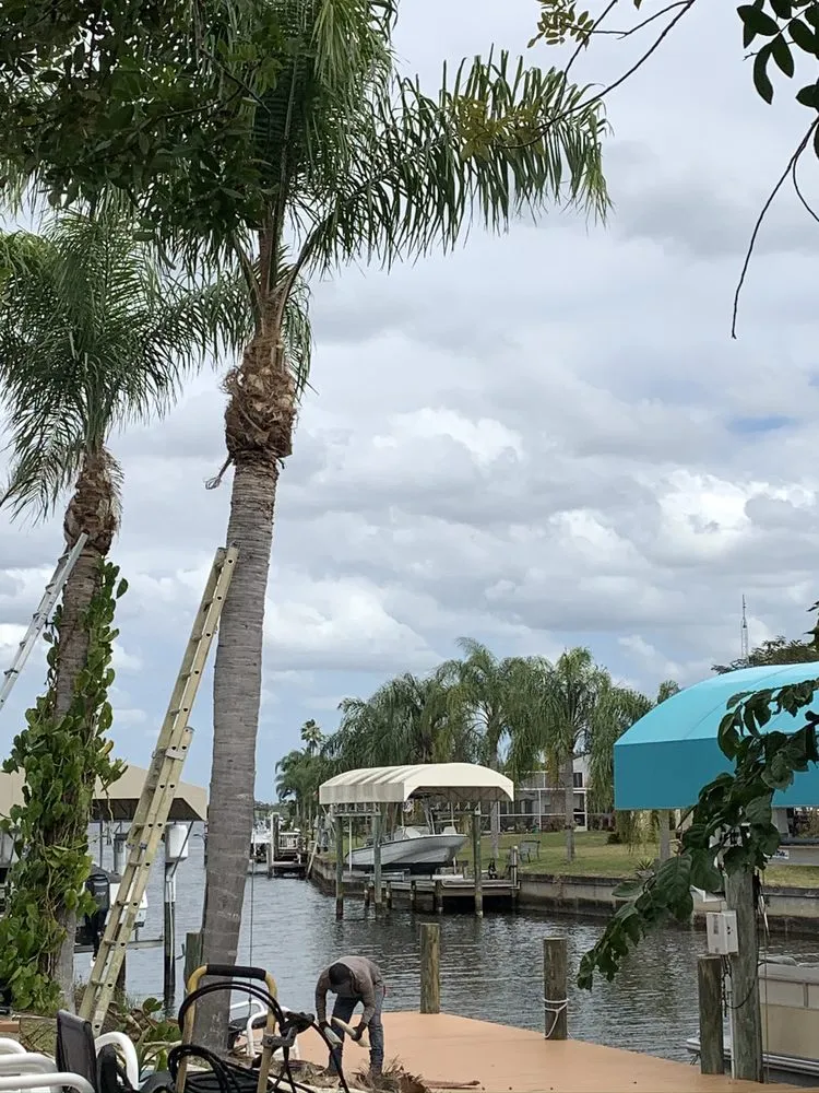 Local landscaping services for year-round maintenance in Port Charlotte, FL by Mejia Trimming and Landscaping