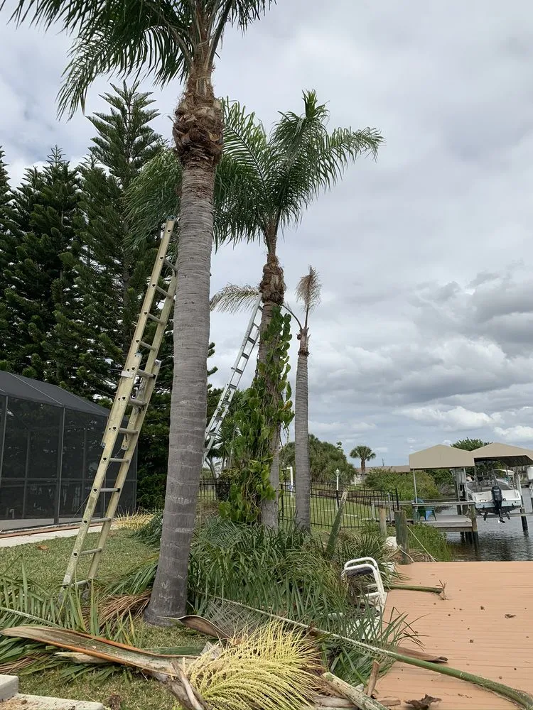 Affordable garden landscaping in Port Charlotte, FL by Mejia Trimming and Landscaping