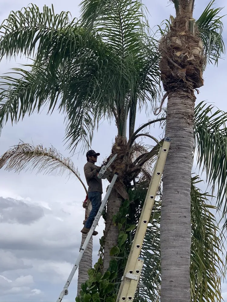 Expert garden landscaping in Port Charlotte, FL by Mejia Trimming and Landscaping