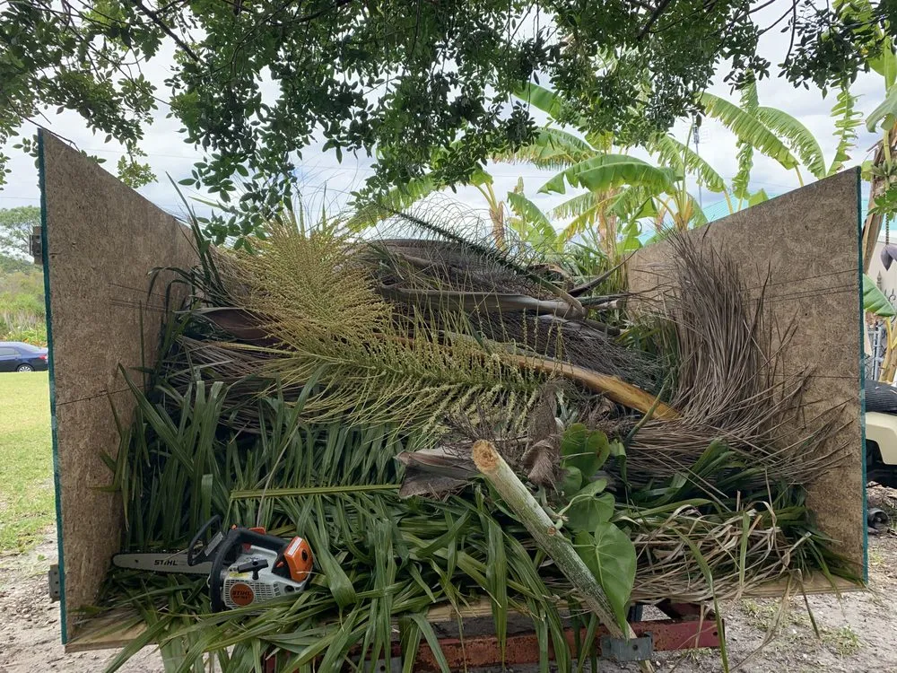 Top-rated lawn mowing service near you across Port Charlotte, FL - Mejia Trimming and Landscaping