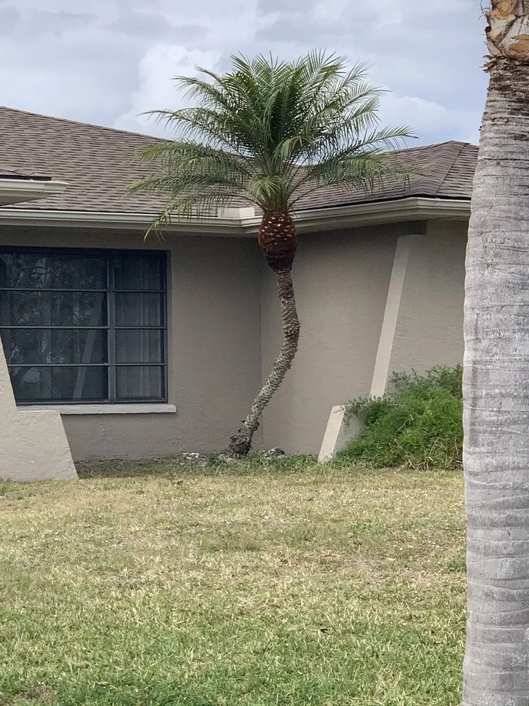 Reliable garden landscaping in Port Charlotte, FL by Mejia Trimming and Landscaping