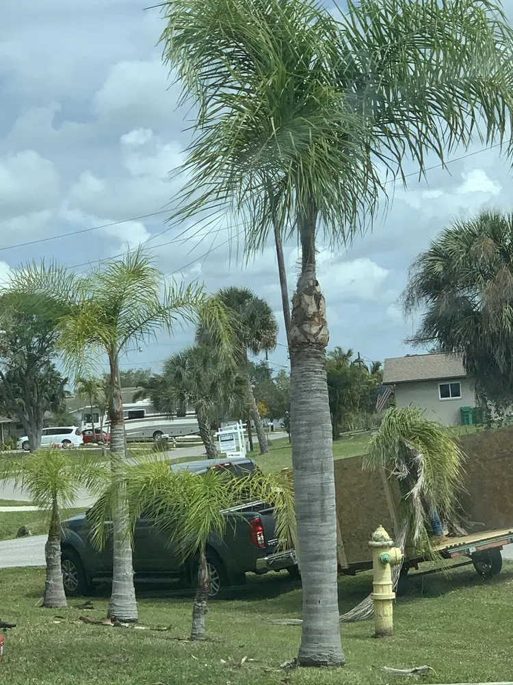 Professional lawn mowing service experts serving Port Charlotte, FL - Mejia Trimming and Landscaping