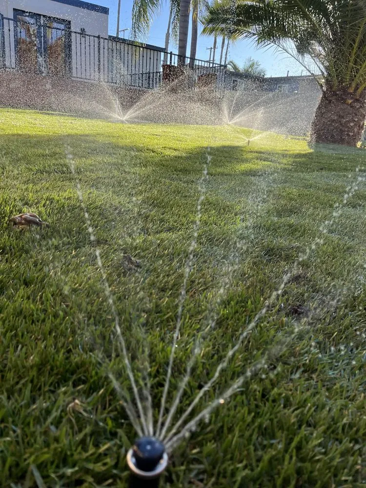 Custom lawn care service in Oceanside, CA - Mejia’s Irrigation and landscape