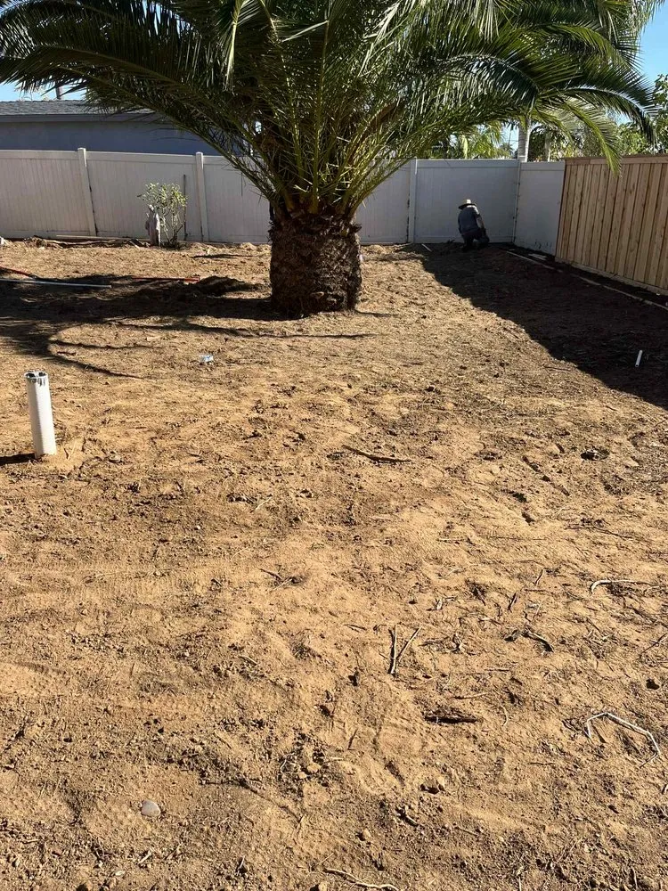 Expert yard cleanup service experts serving Oceanside, CA - Mejia’s Irrigation and landscape