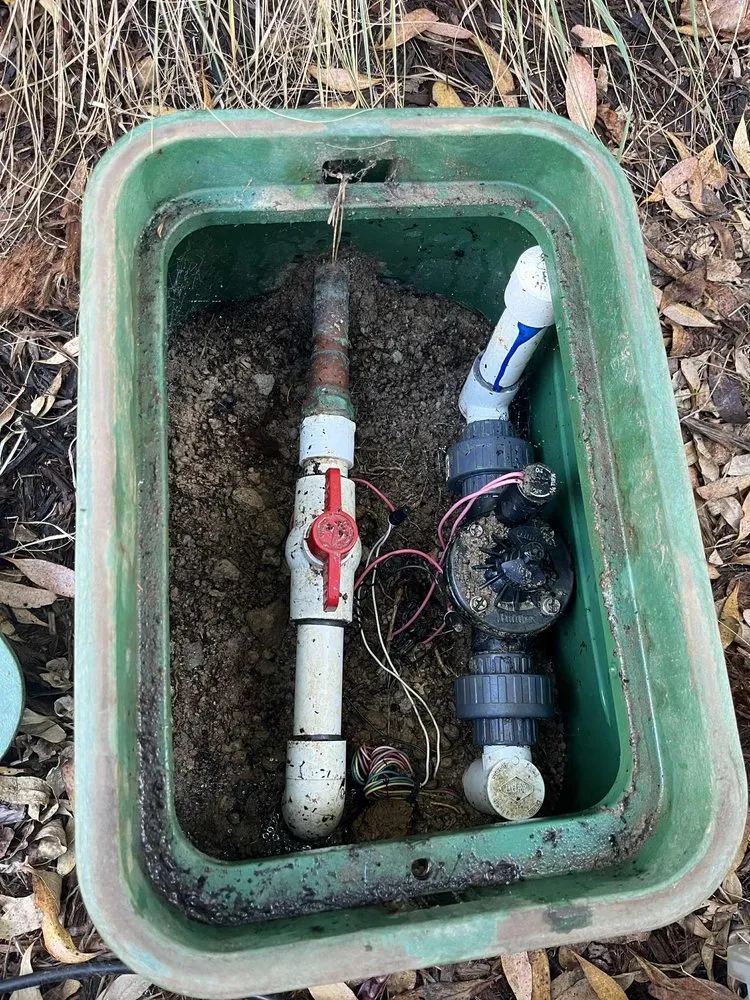 Reliable residential landscaping in Oceanside, CA by Mejia’s Irrigation and landscape