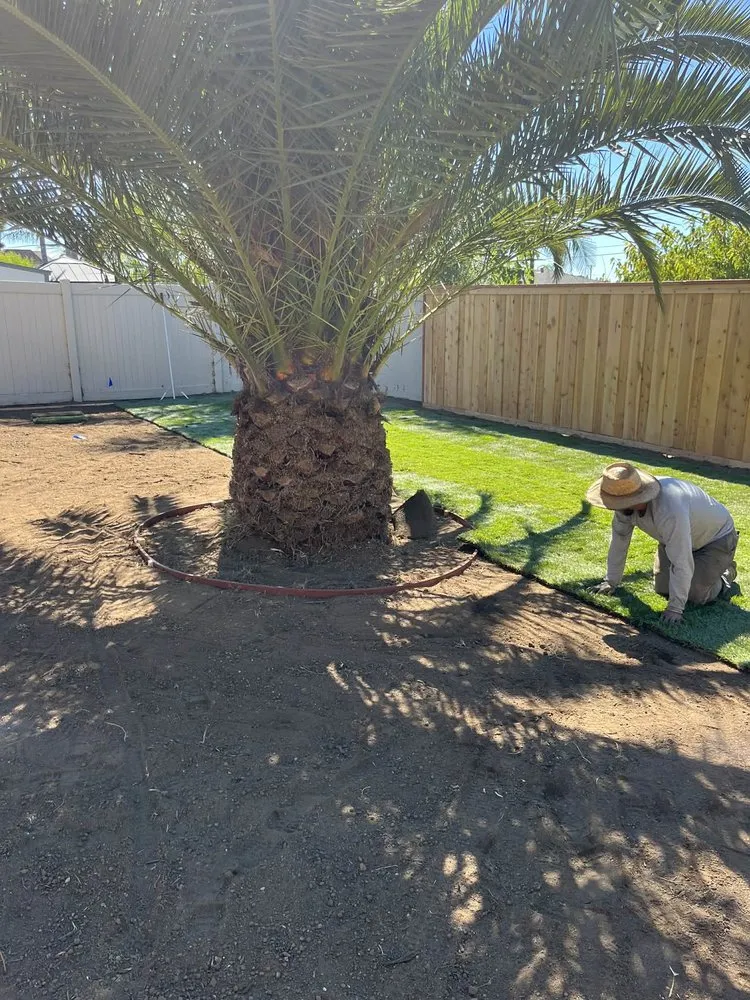 Affordable yard maintenance experts serving Oceanside, CA - Mejia’s Irrigation and landscape