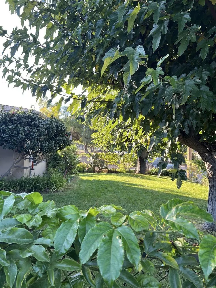 Affordable outdoor landscaping in Oceanside, CA by Mejia’s Irrigation and landscape