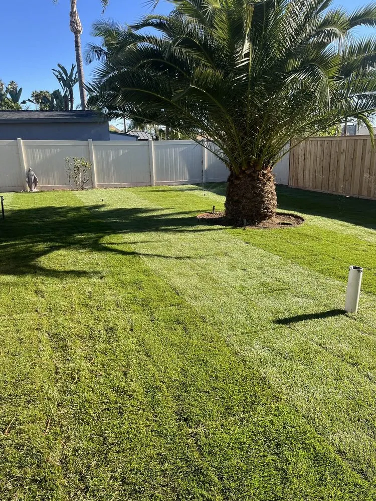 Affordable yard cleanup service in Oceanside, CA by Mejia’s Irrigation and landscape