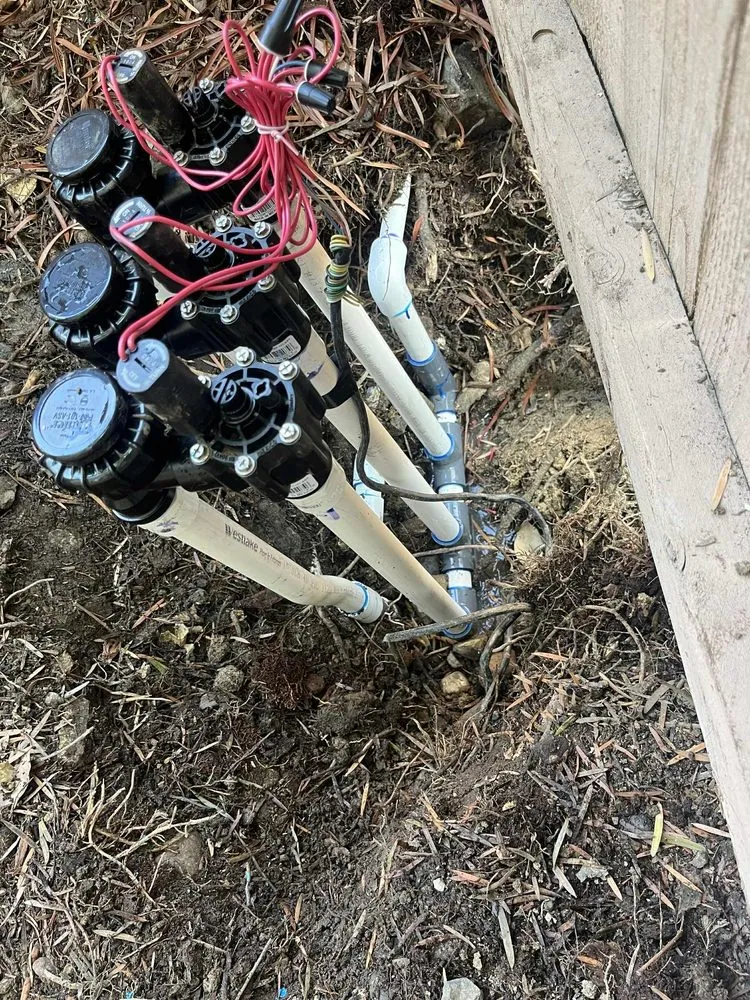 Trusted landscape design for residential properties in Oceanside, CA by Mejia’s Irrigation and landscape