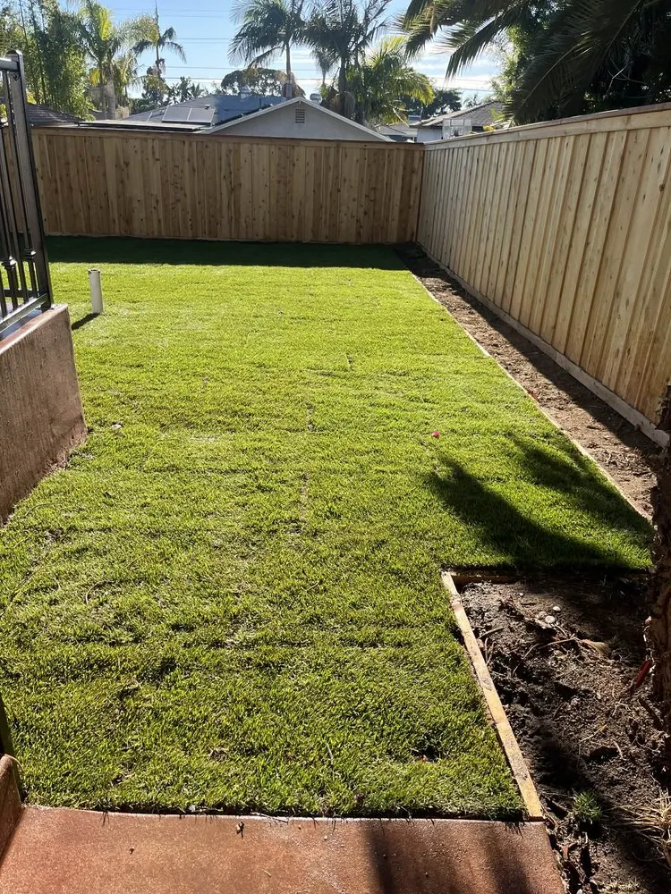 Custom landscape design experts serving Oceanside, CA - Mejia’s Irrigation and landscape