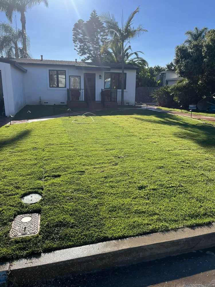 Affordable lawn care service in Oceanside, CA by Mejia’s Irrigation and landscape