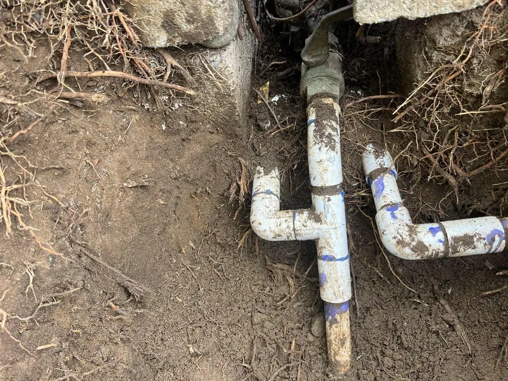 Expert yard maintenance experts serving Oceanside, CA - Mejia’s Irrigation and landscape