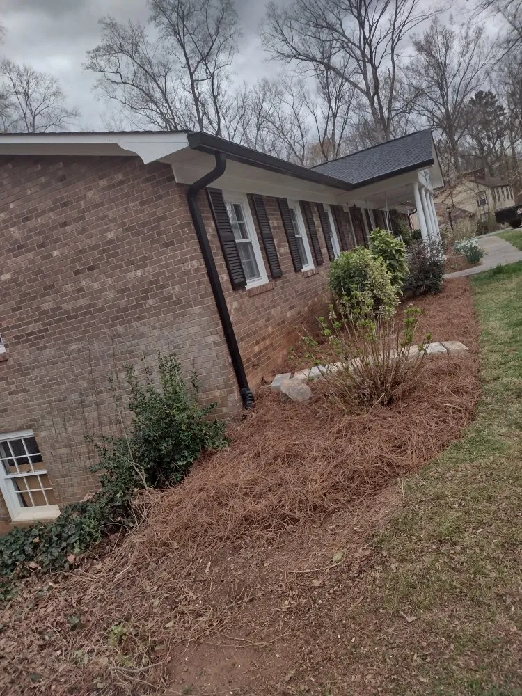 Top-rated garden landscaping for beautiful yards in Township of Taylorsville, NC by Mejias Junk Removal