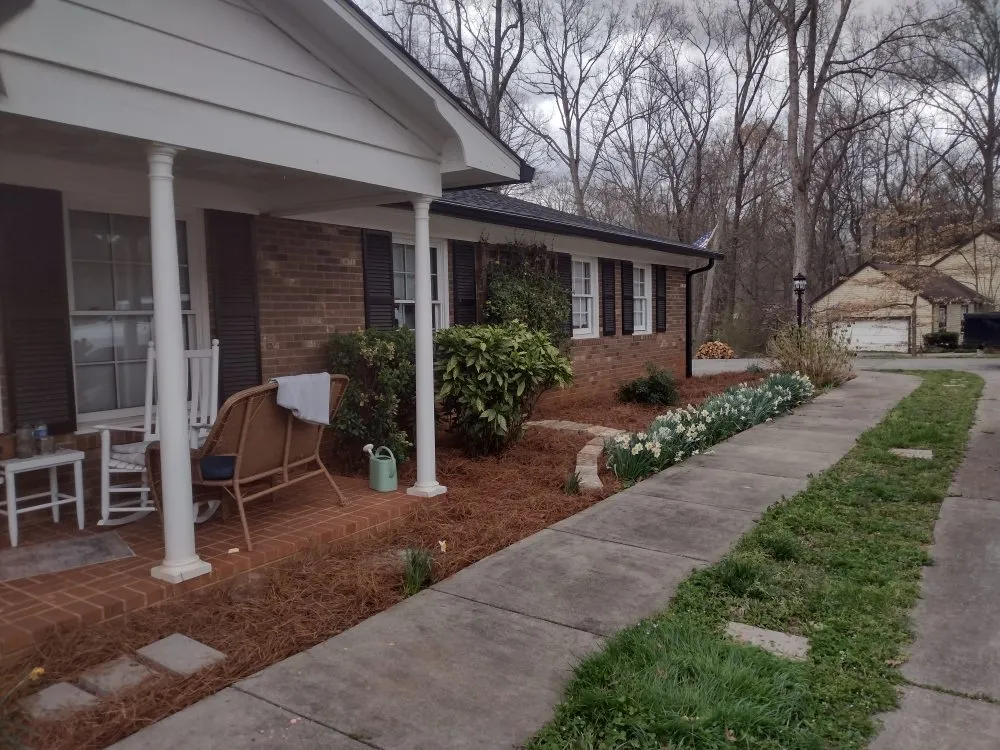Professional landscape design for homes across Township of Taylorsville, NC - Mejias Junk Removal