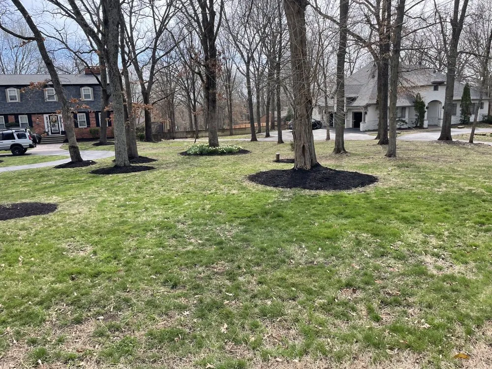 Professional lawn mowing service with custom design in Republic, MO by Mejia's Landscape