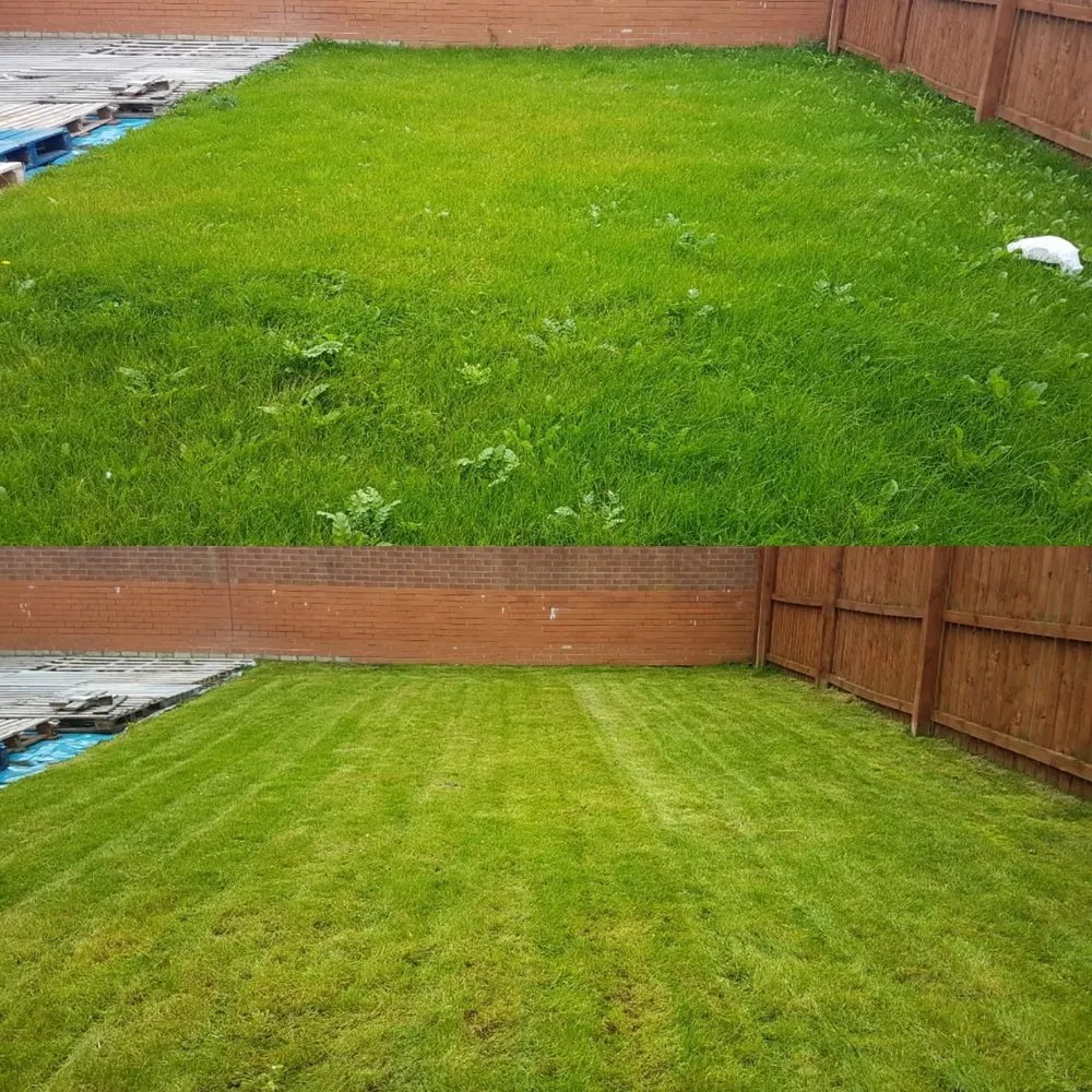 Custom outdoor landscaping experts serving Baltimore, MD - Mejia’s Landscaping Services