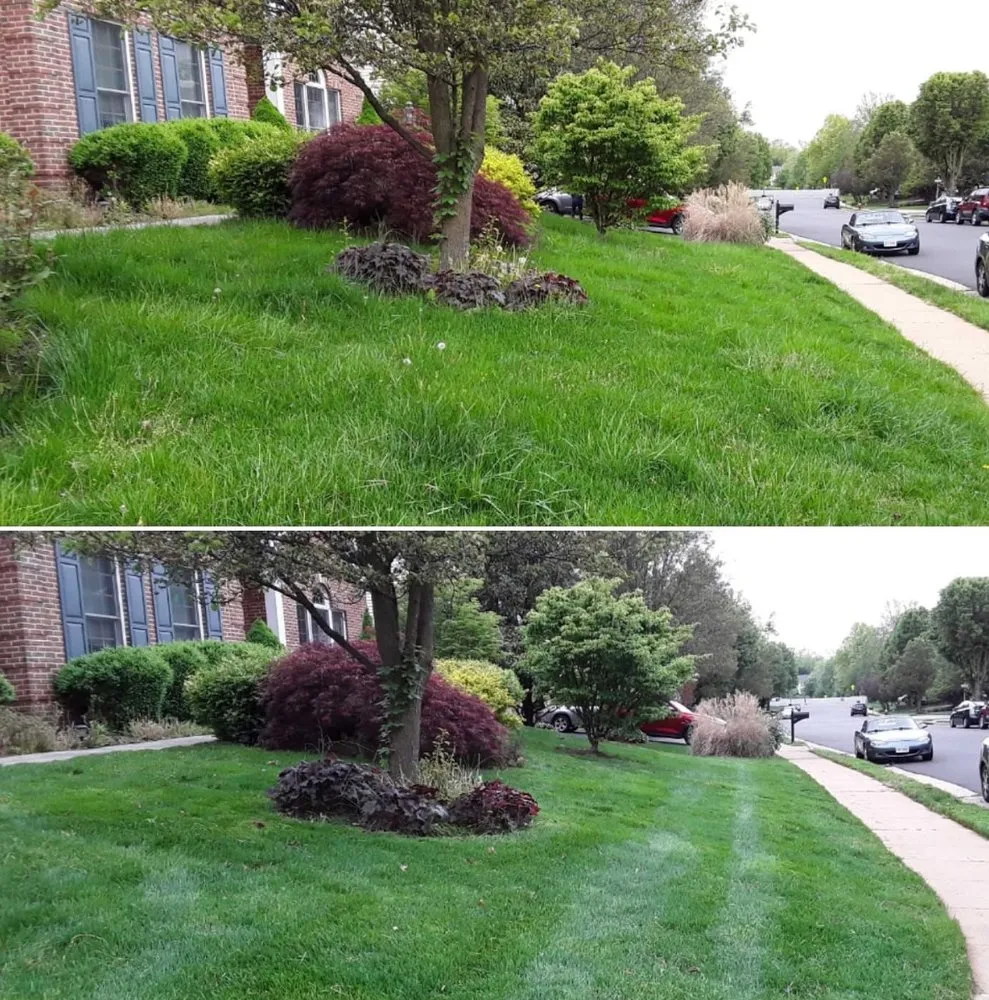 Local lawn care service with custom design in Baltimore, MD by Mejia’s Landscaping Services